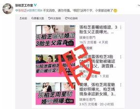 港媒最新爆料大料大全,最新爆料大料大全全解析